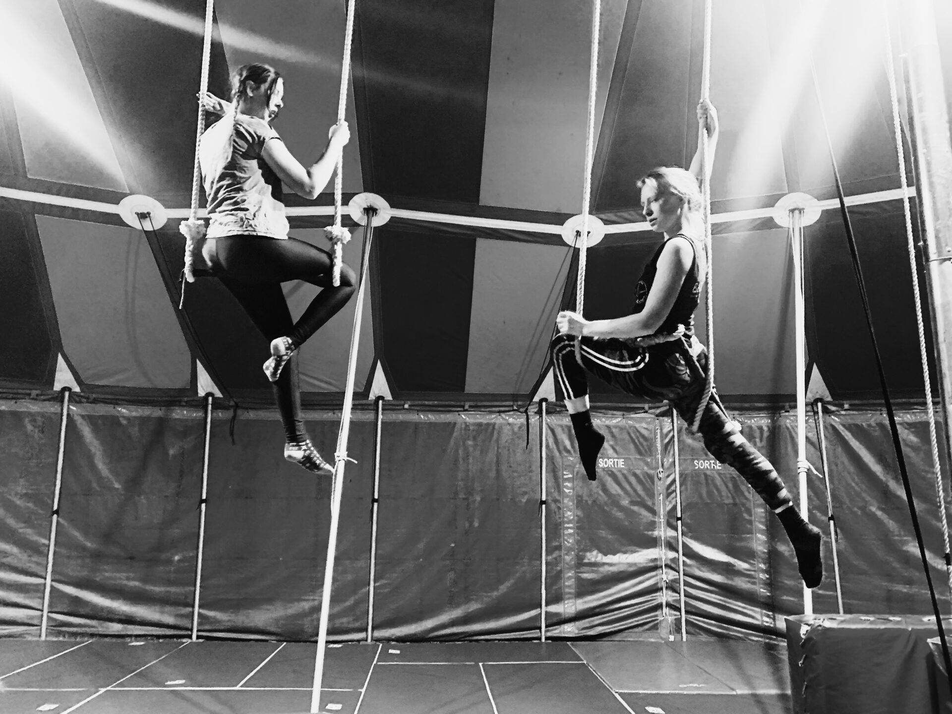 Cirque cours adultes